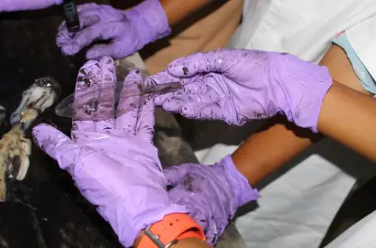 Digital Marketing Strategy